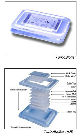 Whatman 沃特曼 TurboBlotter 快速核酸转印系统10416328