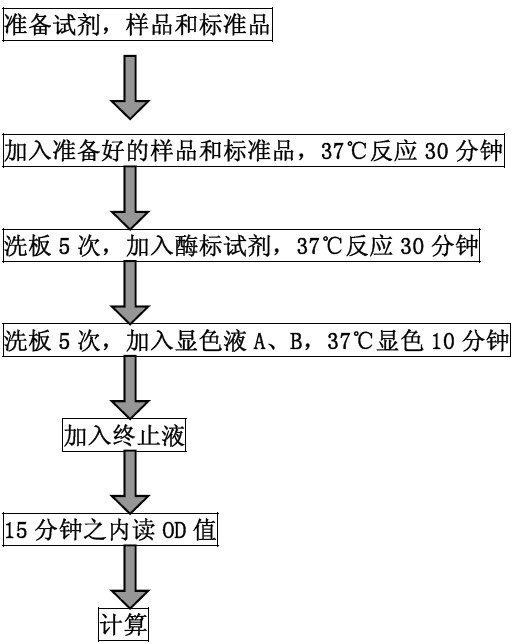 白介素elisa试剂盒山羊（IL-2R）ELISAkitBS-3842