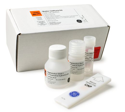 Biotin CAPture试剂盒