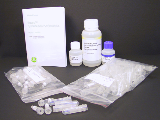 PCR纯化和胶回收