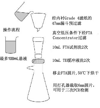 Whatman 沃特曼 FTA&#174; Concentrator-PS&trade; 寄生虫纯化装置swb120220