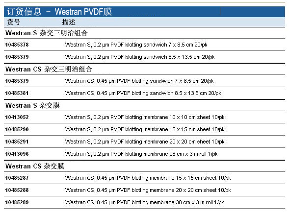 Whatman 沃特曼 Westran PVDF膜10485381, 10413052