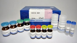 ACE抑制活性检测试剂盒                              ACE Kit-WST