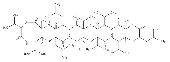 呕吐毒素标准溶液                              Cereulide Standard Solution