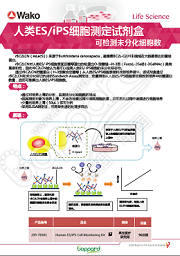 人ES/iPS 细胞检测试剂盒                              Human ES/iPS Cell Monitoring Kit