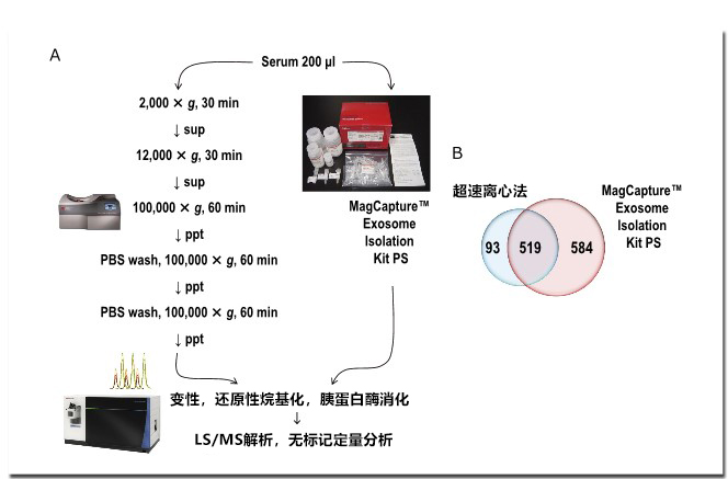 外泌体和生命现象——第二回 外泌体蛋白质组解析