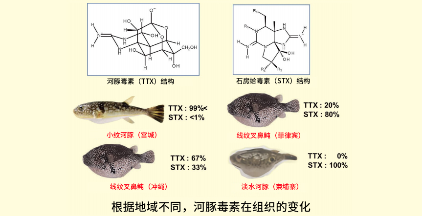 海洋毒素研究的乐趣