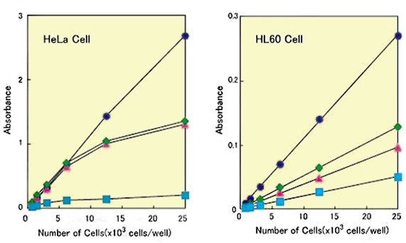 Cell Counting Kit-8细胞增殖毒性检测试剂盒CCK-8(CCK8)货号：CK04