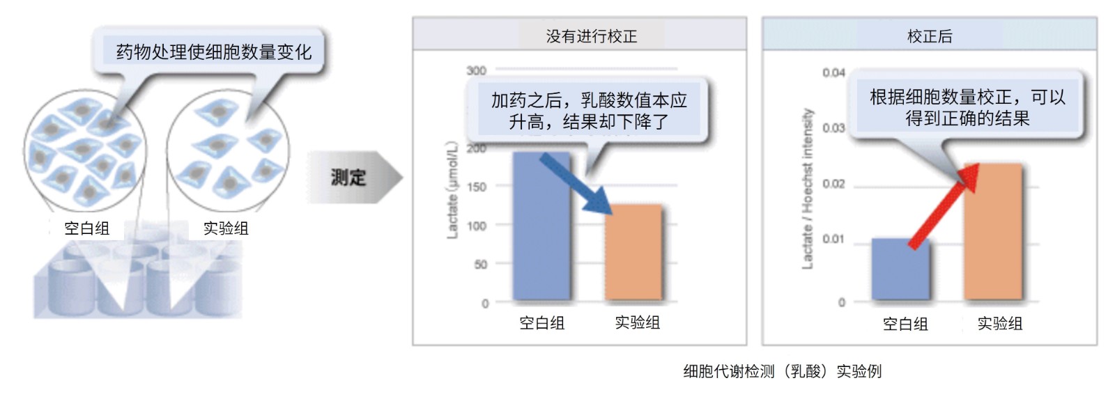 Cell Count Normalization Kit试剂盒货号：C544