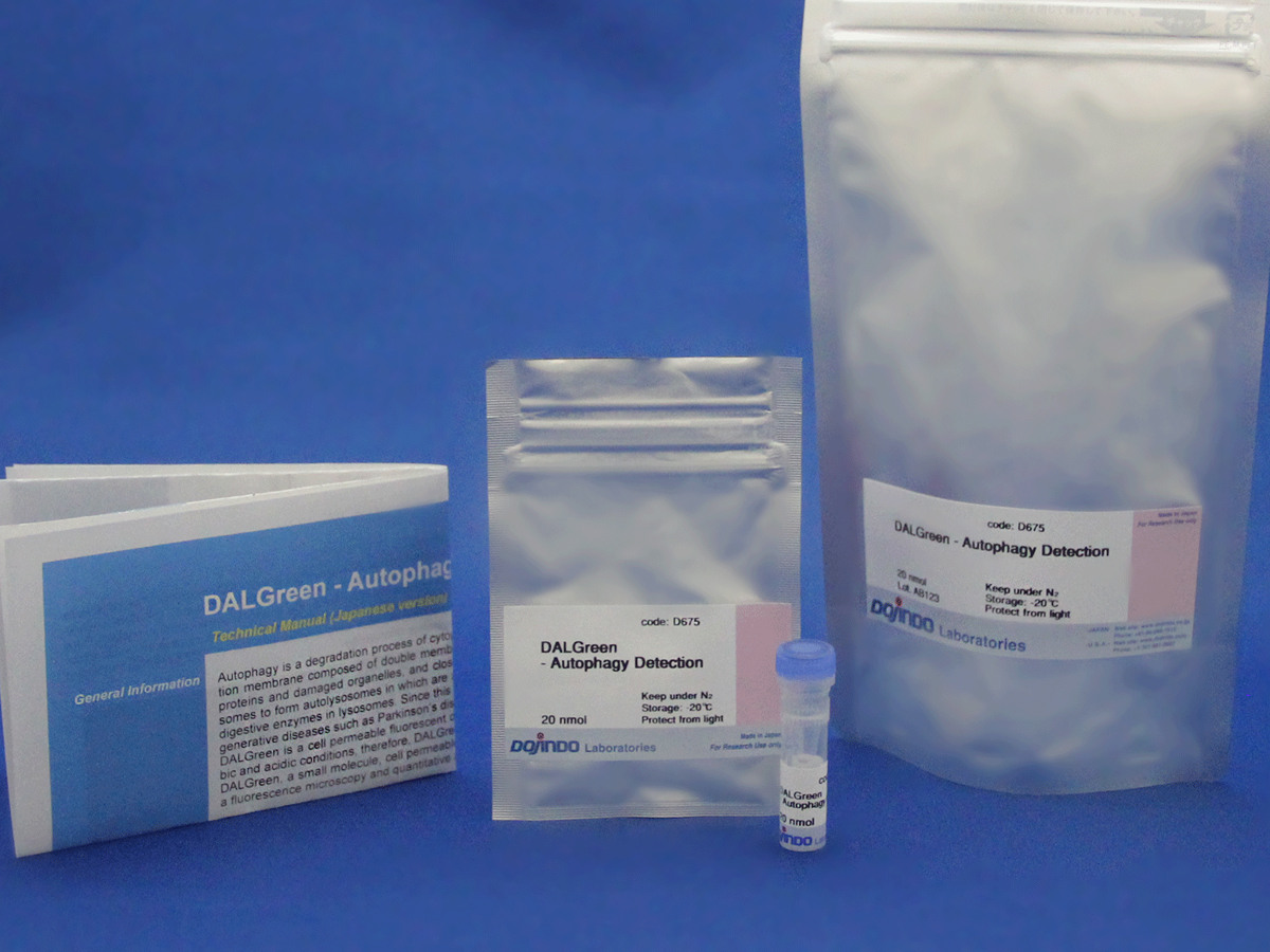 DAPGreen &#8211; Autophagy Detection 细胞自噬检测试剂货号：D676