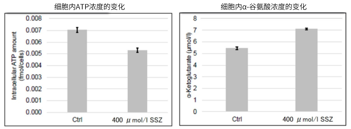 活性氧检测试剂盒（ROS Assay Kit）货号：R252