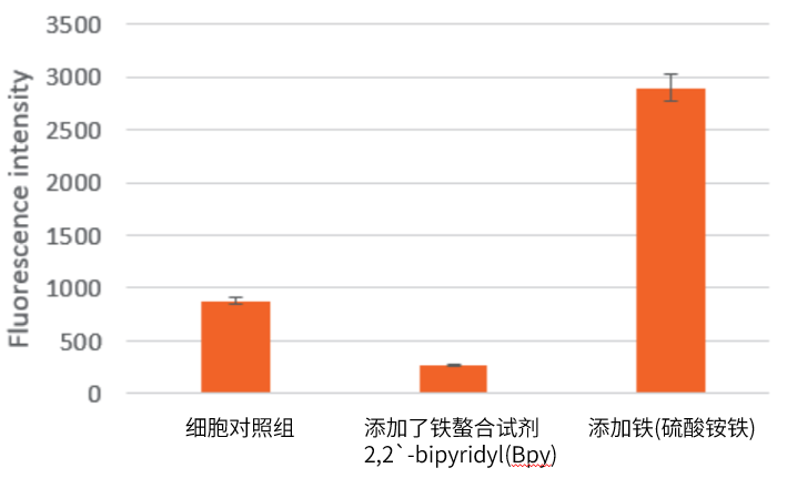 二价铁离子检测探针—FerroOrange货号：F374