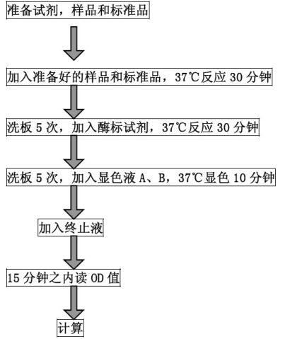 人白细胞介素21（IL-21）酶联免疫分析试剂盒BS-1648