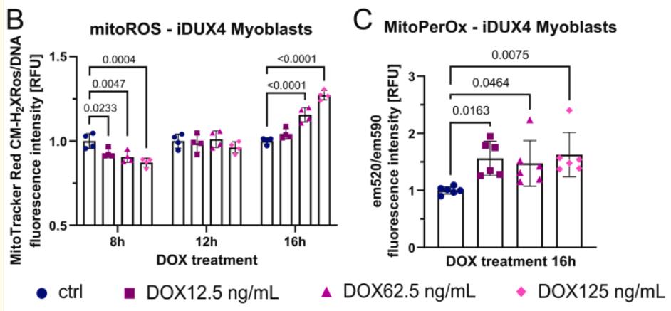 MitoPerOx Mitochondrial Lipid Peroxidation Indicator  线粒体脂质过氧化探针