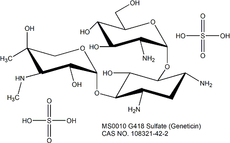 G418 Sulfate (Geneticin) (50mg/mL) 遗传霉素（50mg/mL）