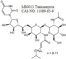 Tunicamycin from Streptomyces lysosuperficus 衣霉素，来源于链霉菌属