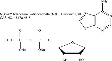Adenosine 5&#8242;-diphosphate (ADP),  Disodium Salt  腺苷5’-二磷酸二钠盐　