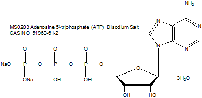 Adenosine 5&#8242;-triphosphate (ATP), Disodium Salt 腺苷5’-三磷酸二钠盐