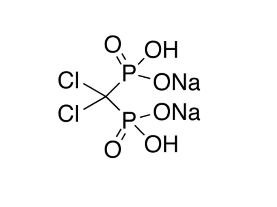 Clophosome? -Clodronate Liposomes (Neutral) 中性氯弗松