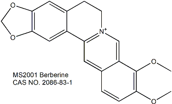 Berberine 小檗碱（黄连素）