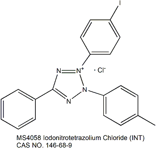 Iodonitrotetrazolium Chloride (INT) 碘硝基氯化四氮唑