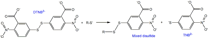 5,5&#8242;-Dithiobis(2-nitrobenzoic acid)(DTNB) 5,5&#8242;-二硫代双(2-硝基苯甲酸)