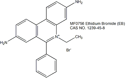 EB（10 mg/ml in Water）EB水溶液（10 mg/ml）