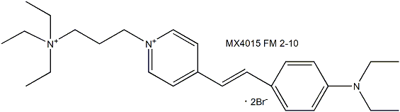 FM 2-10 (N-(3-Triethylammoniumpropyl)-4-(4-(diethylamino)styryl)pyridinium dibromide) 神经末梢荧光探针