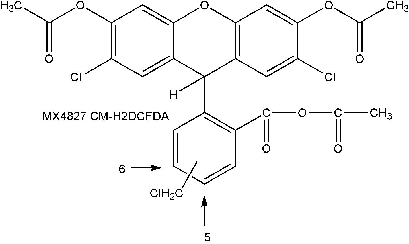 FM 4-64 (N-(3-Triethylammoniumpropyl)-4-(6-(4-(Diethylamino) Phenyl) Hexatrienyl) Pyridinium Dibromide)