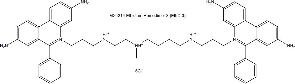 Ethidium Homodimer 3 (EthD-3) 溴乙啡锭二聚体3