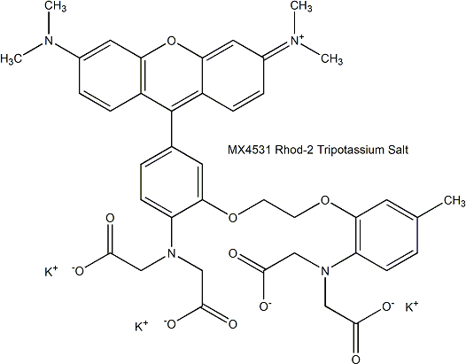 Rhod-2 Trisodium Salt 钙离子荧光探针