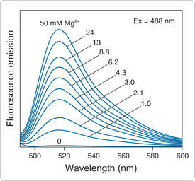 Mag-Fluo-4 AM, Cell Permeant 镁离子荧光探针