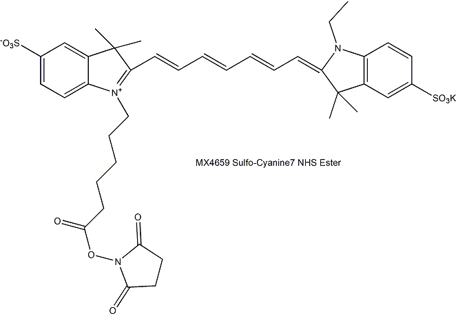 Sulfo-Cyanine7 NHS Ester 磺化Cy7 NHS酯（水溶性）