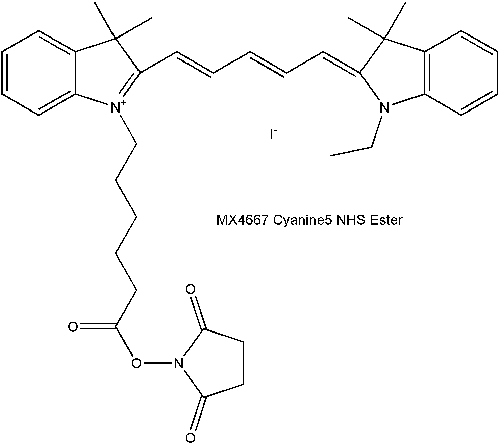 Cyanine5 NHS Ester  Cy5 NHS酯（脂溶性）