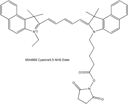 Cyanine5.5 NHS Ester  Cy5.5 NHS酯（脂溶性）