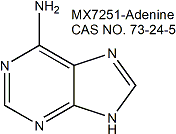 Adenine 腺嘌呤（6-氨基嘌呤，维生素B4）