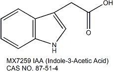 IAA (Indole-3-Acetic Acid) 3-吲哚乙酸