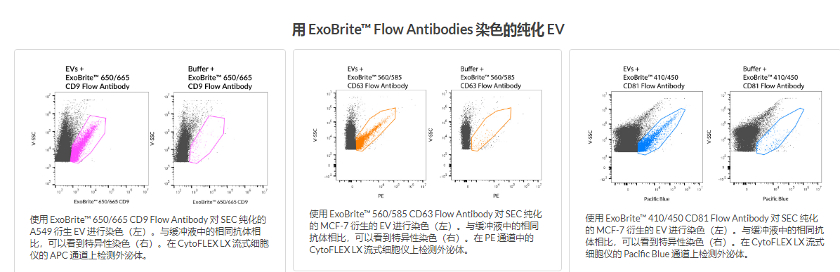 EXOBRITE&trade; FLOW 抗体偶联物简述