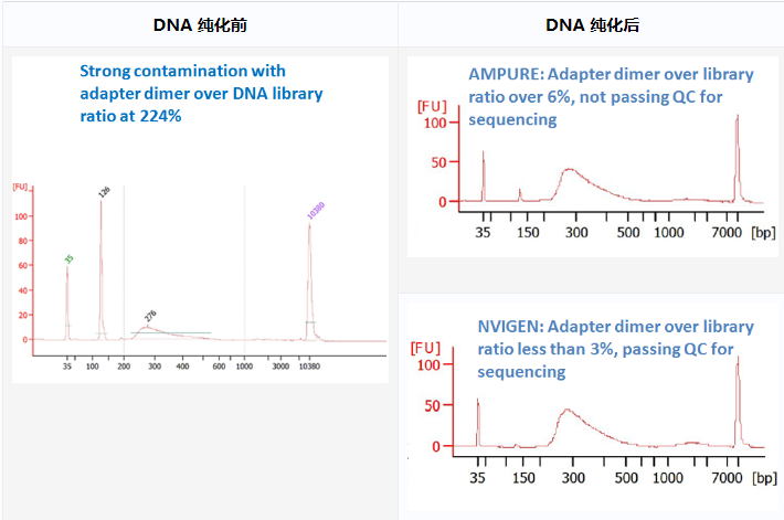 MagVigen&trade; DNA 纯化和尺寸选择试剂盒介绍