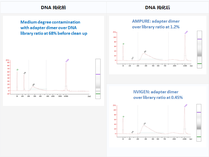 MagVigen&trade; DNA 纯化和尺寸选择试剂盒介绍