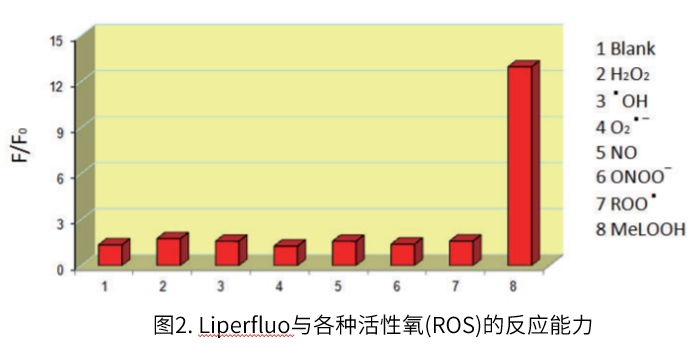 Liperfluo-细胞脂质过氧化物检测货号：L248