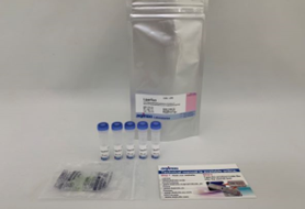 Glutamine Assay Kit-WST试剂盒货号：G268