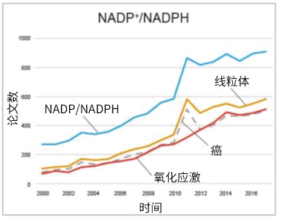 NADP/NADPH Assay Kit-WST试剂盒货号：N510