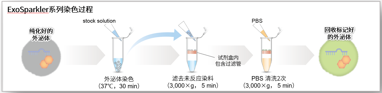 内体-外泌体 外泌体(Exosomes)提取试剂盒—ExoIsolator Exosome Isolation Kit EX10