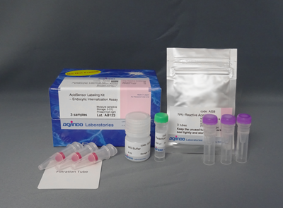 AcidSensor Labeling Kit &#8211; Endocytic Internalization Assay 细胞内吞作用的内化过程检测货号：A558