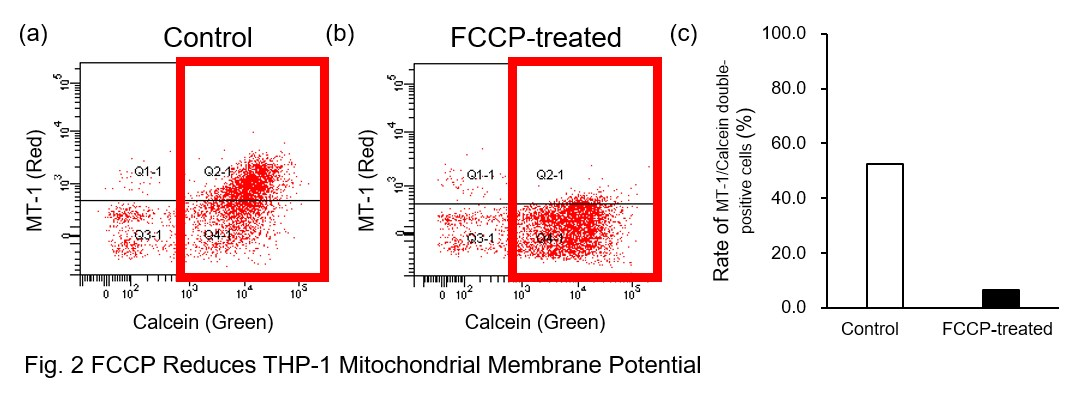 AcidSensor Labeling Kit &#8211; Endocytic Internalization Assay 细胞内吞作用的内化过程检测货号：A558