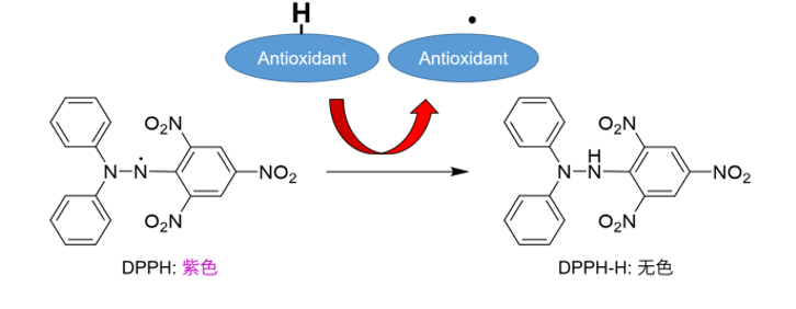 抗氧化能力检测试剂盒 (DPPH法 )货号：D678 DPPH Antioxidant Assay Kit