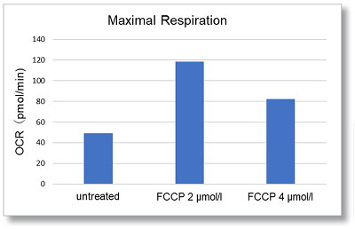 Oxygen Consumption Rate(OCR) Plate Assay Kit-氧消耗量检测试剂盒货号：E297