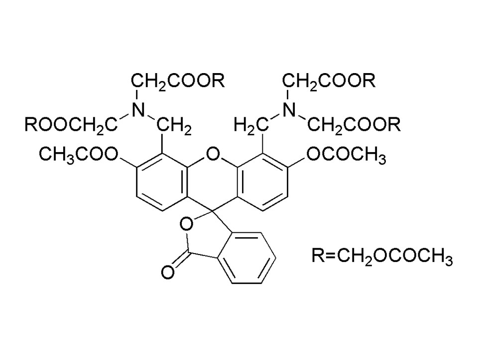 Cellstain- AO solution试剂货号：A430 3,6-Bis(dimethylamino)acridine, hydrochloride, solution CAS号：65-61-2(AO)