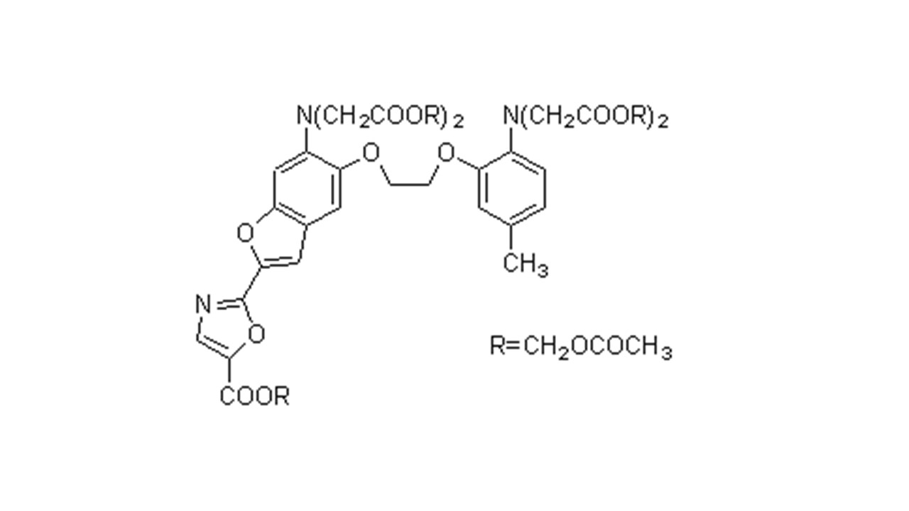 Fura2-AM试剂货号：F015 CAS号：108964-32-5